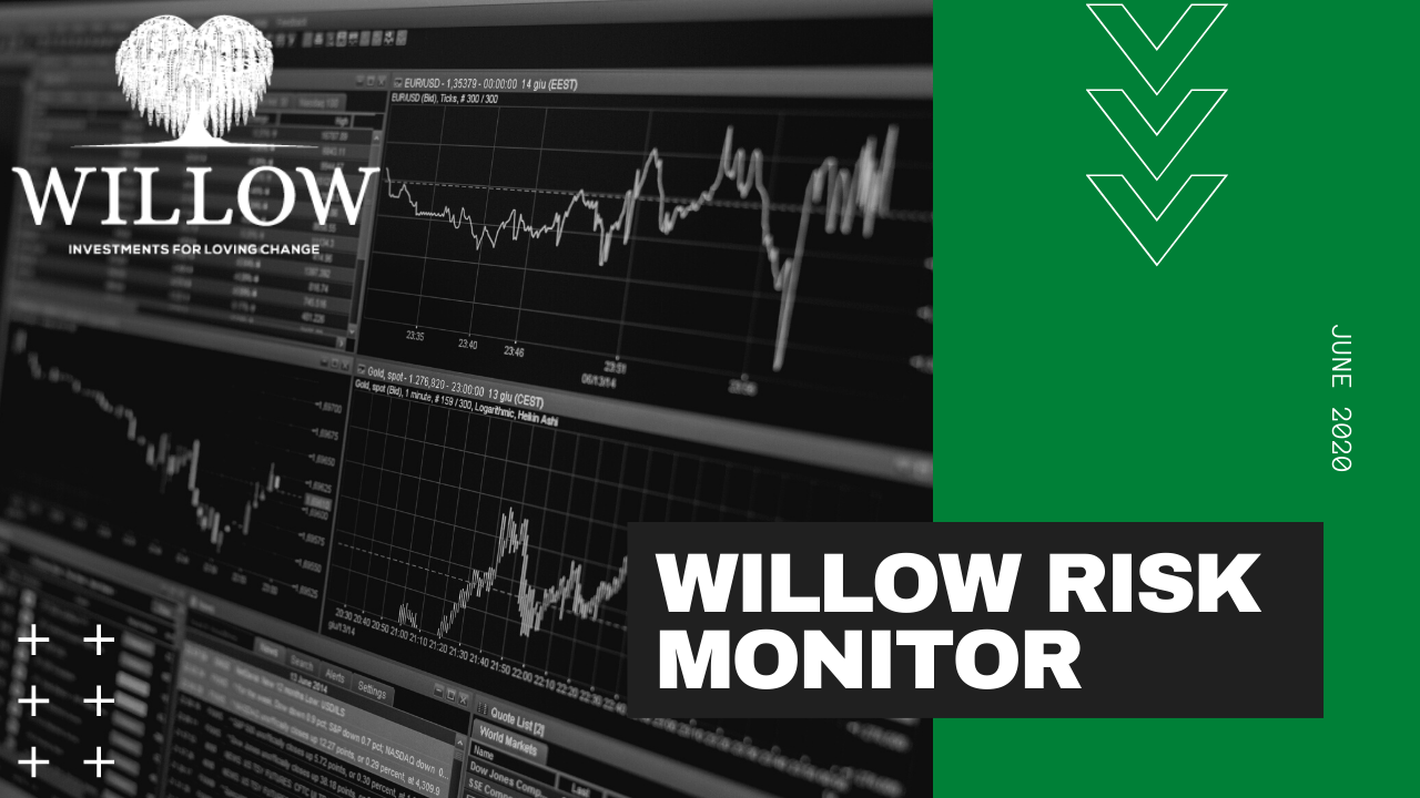 Willow Risk Monitor June 2020